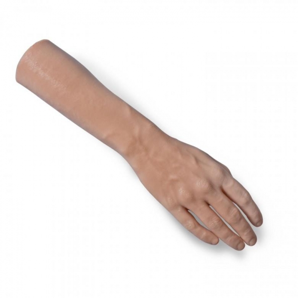 A Pound of Flesh - rechte Hand mit Unterarm